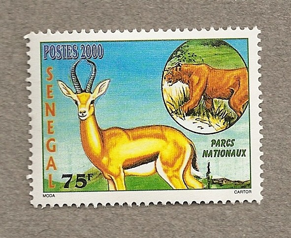 Parques Nacionales