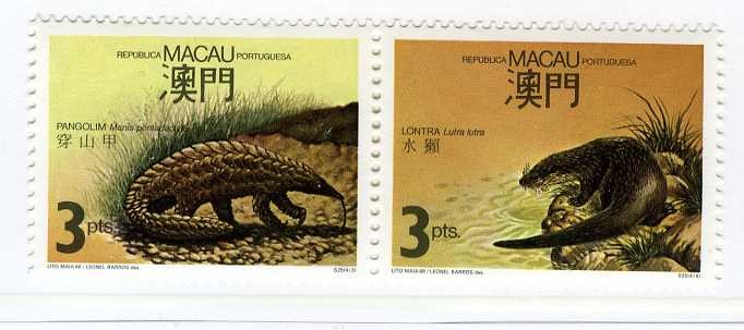 Macau` 88