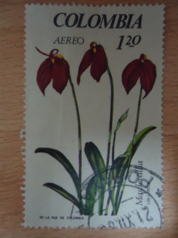 Masdevalda-Cocanea