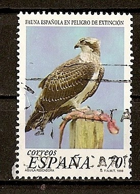 Fauna en peligro de extincion.