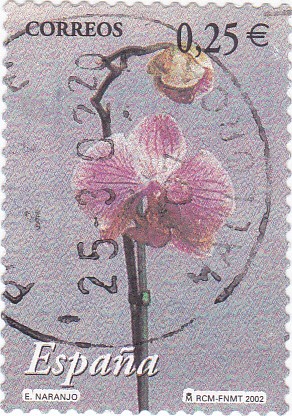 la flor y el paisaje
