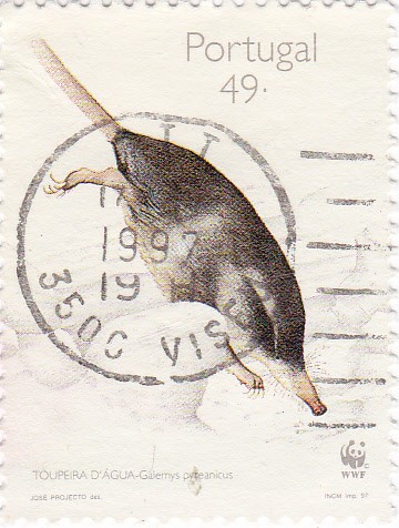 Topo de agua