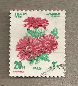 Flores rojas