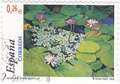 pintura- paisajes
