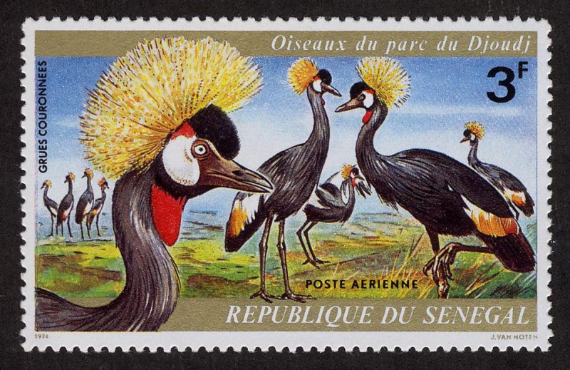 SENEGAL - Santuario Nacional de Aves de Djudj