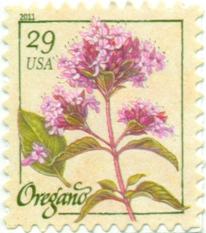SELLO DE DISPENSADOR  - FLOR DE OREGANO