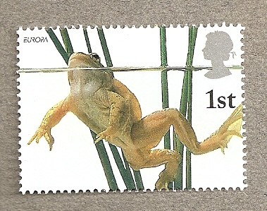 Rana