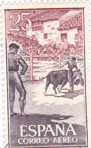 fiesta nacional: tauromáquia toros en el campo