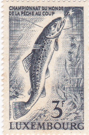 campeonato del mundo de pesca