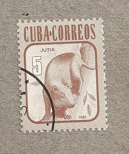 Jutia