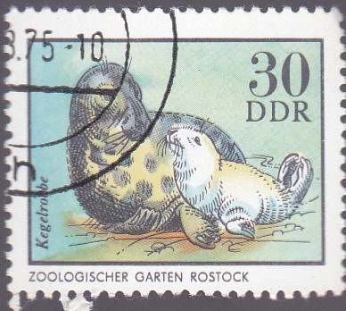 zoologico- rostock