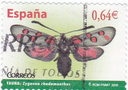 mariposa