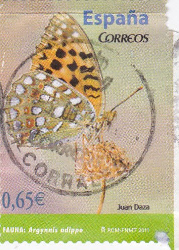 mariposa