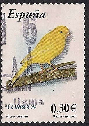Flora y fauna-Canario