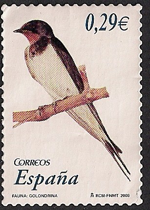 Flora y Fauna-Golondrina
