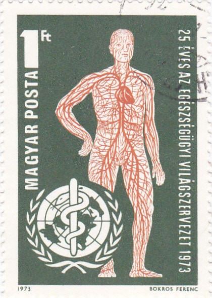 cuerpo humano