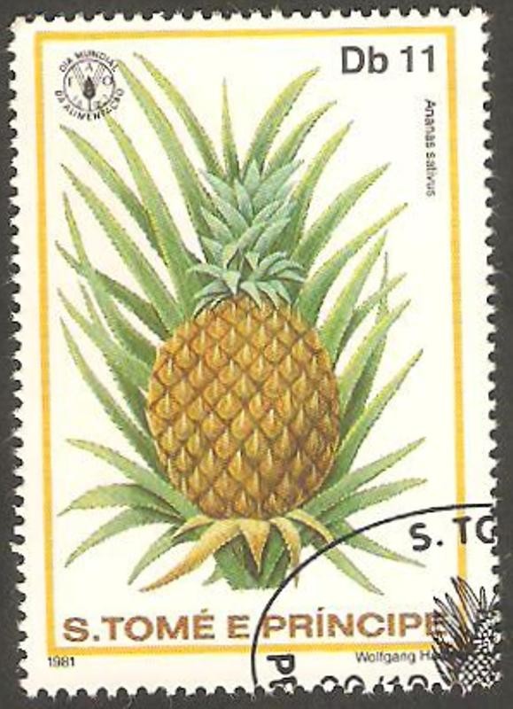 ananas sativus