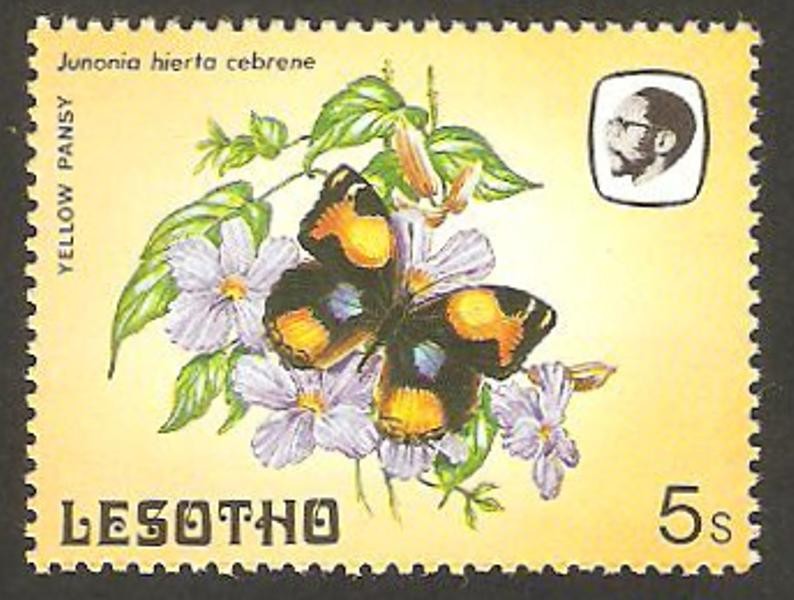565 - mariposa