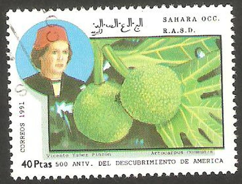 500 anivº del descubrimiento de América, Vicente Yañez Pinzon