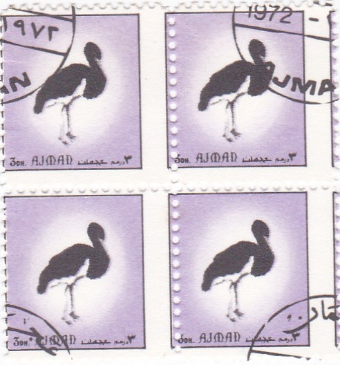 aves -Ajman