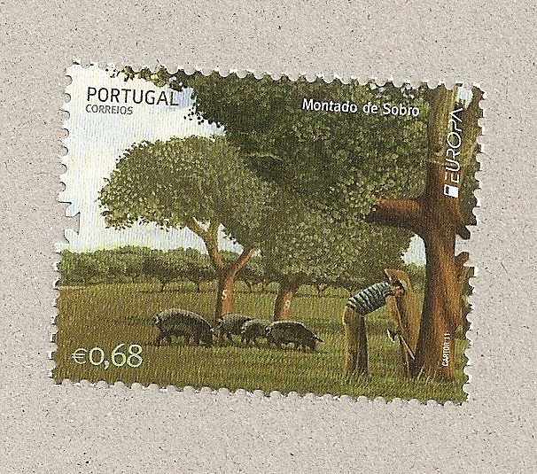 Montanera