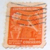CONSEJO NACIONAL DE TUBERCULOSIS