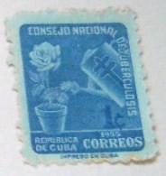 CONSEJO NACIONAL DE TUBERCULOSIS