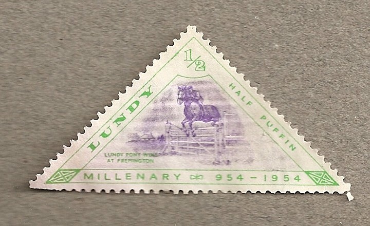 Un pony de Lundy gana en Fremington