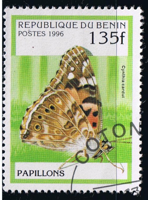 Papillons  Cyntia cardui