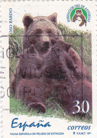 fauna española en peligro de extinción-0so pardo