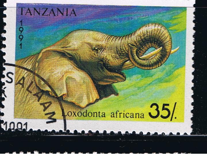 Loxodonta africana