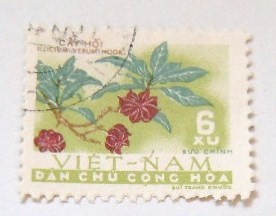 FLORA