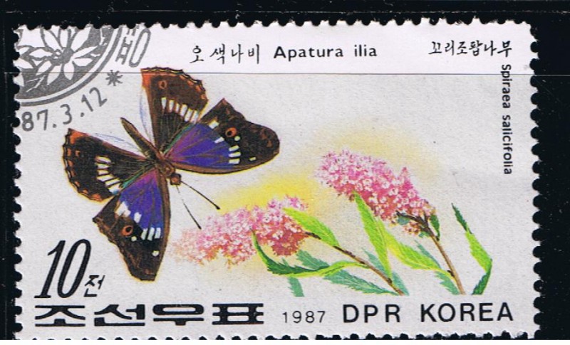 Mariposas Apatura ilia