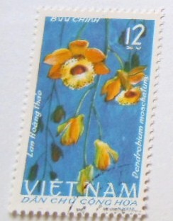 FLORA