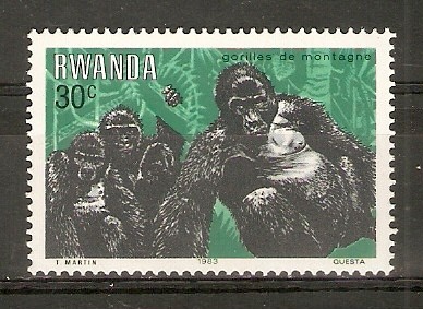 GORILA   RECOGEDOR   DE   BANANAS