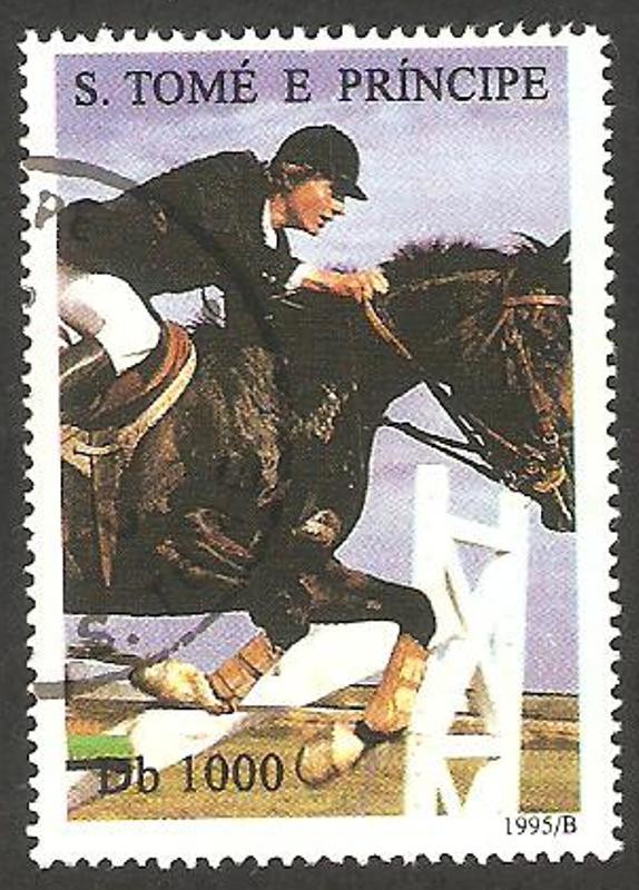 1250 - Caballos, saltos de obstáculos