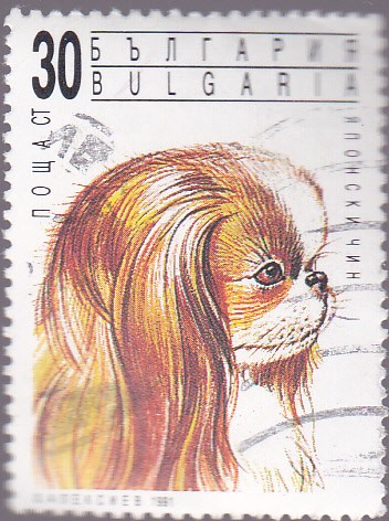 Pequinés