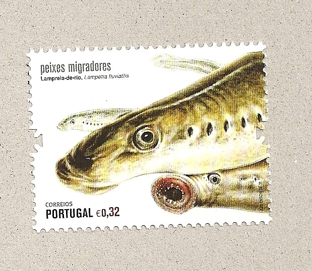 Peces migratorios