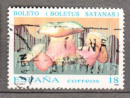 E3279 Micología (541)