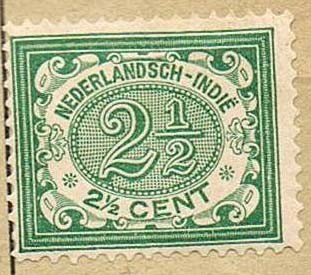 INDIA HOLANDESA