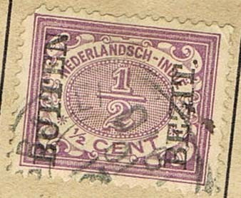 INDIA HOLANDESA