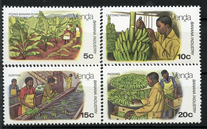 VENDA- Industria Bananera