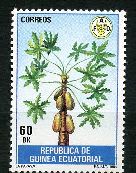 Papaya