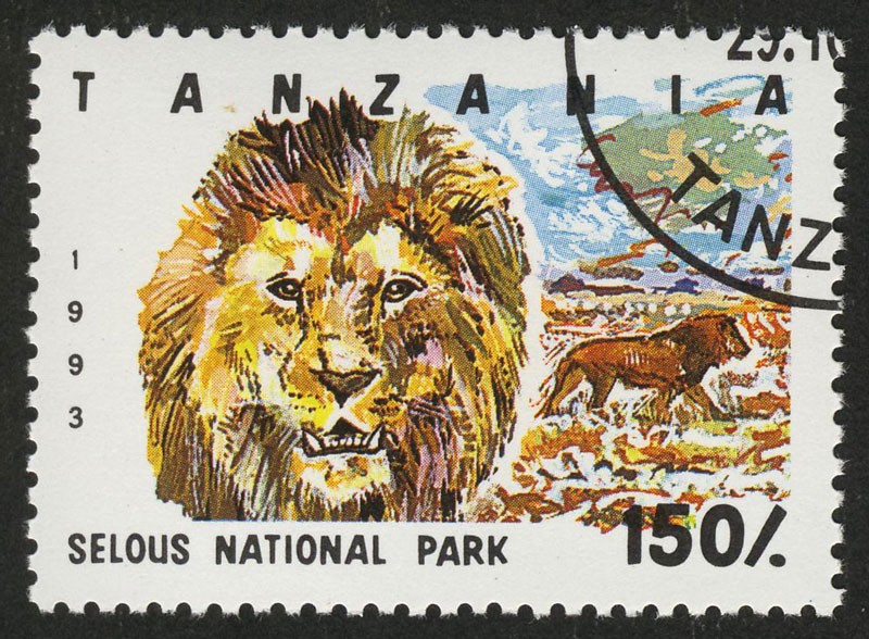 TANZANIA - Reserva de caza de Selous