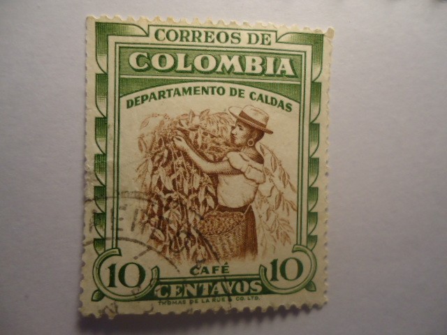 Departamento de Caldas- Café Suave-Cosecha-caponera.