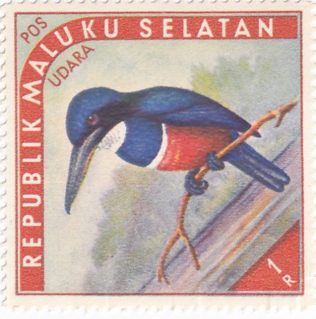 ISLAS MOLUKAS - Aves