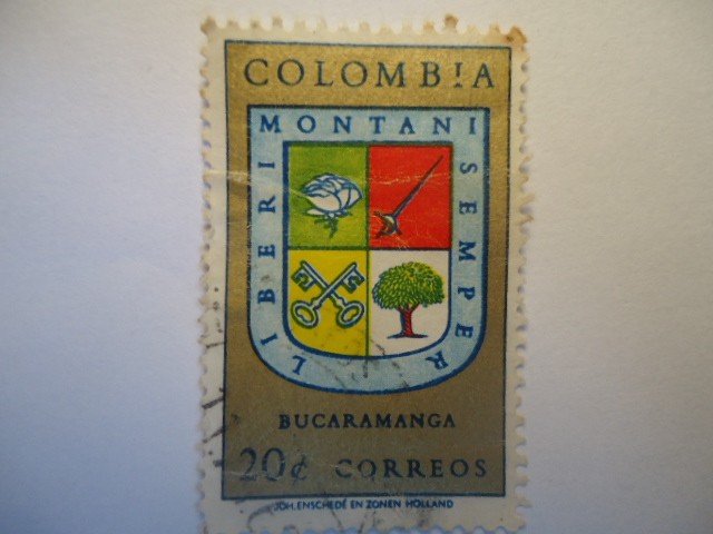LIBERI  MONTANI  SEMPER -BUCARAMANGA 