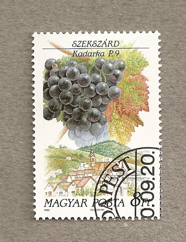 Variedades uva para vinificación