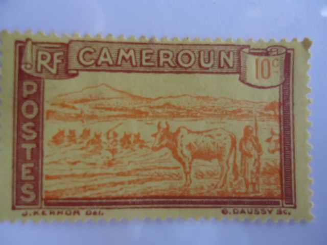Cruce de un rebaño.-Cameroun.
