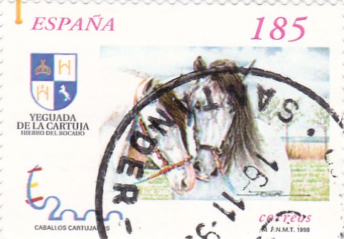 Caballos Cartujanos 3613   (F)